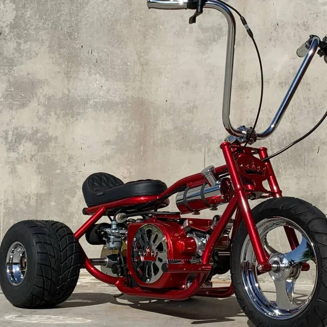 Custom Mini Trike - Image 2